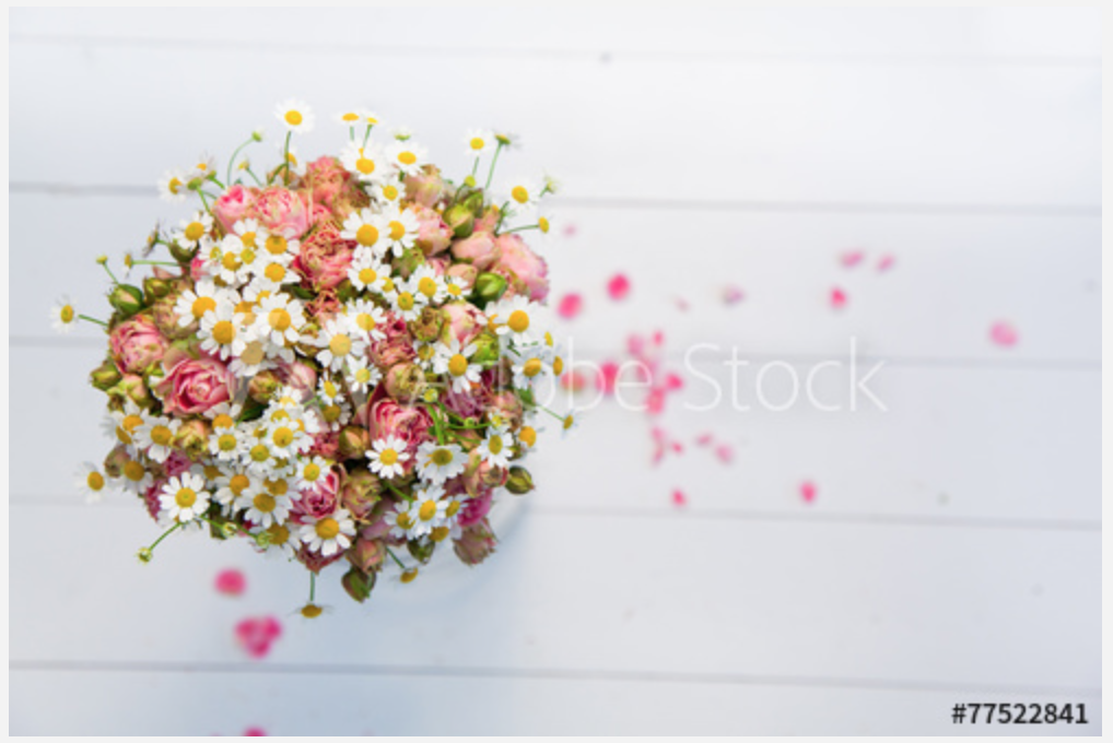 cropped-090c029398131c850d1dd1ecd3da8c1f.png