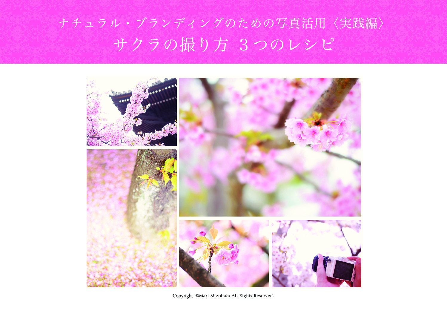 sakura_recipe