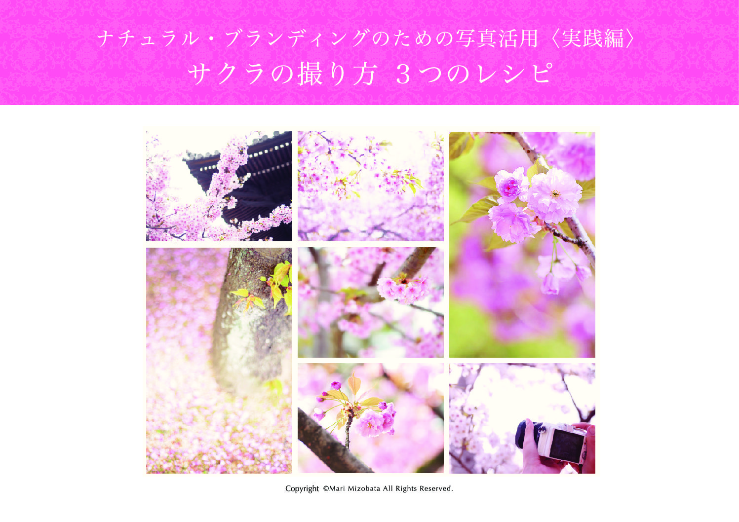 sakura_resipe