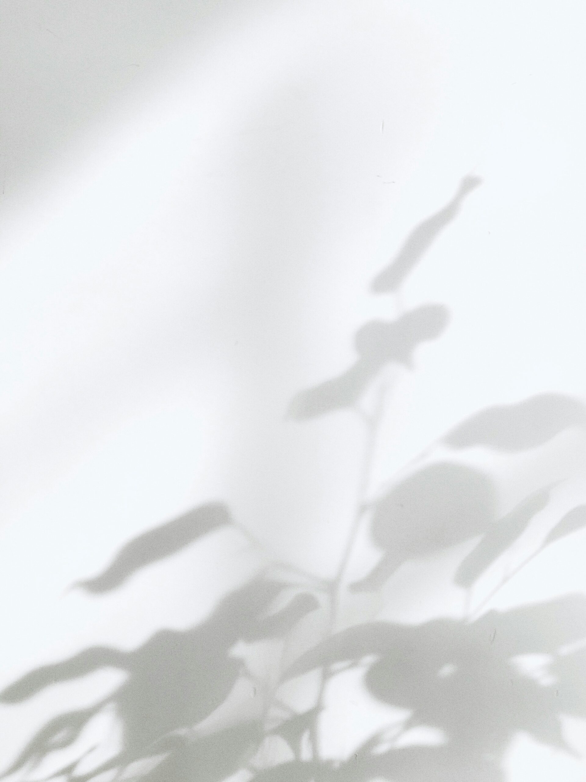 milad-fakurian-Tc_4PdN-Fq0-unsplash